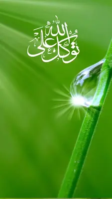 Tawakkal ala allah Live Wallpaper android App screenshot 0