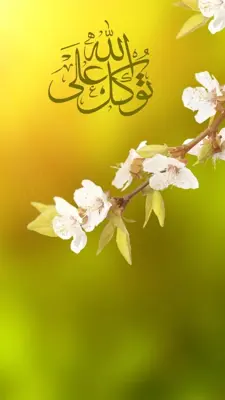 Tawakkal ala allah Live Wallpaper android App screenshot 2