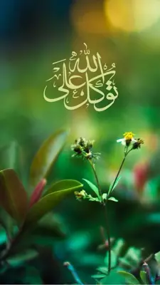 Tawakkal ala allah Live Wallpaper android App screenshot 6